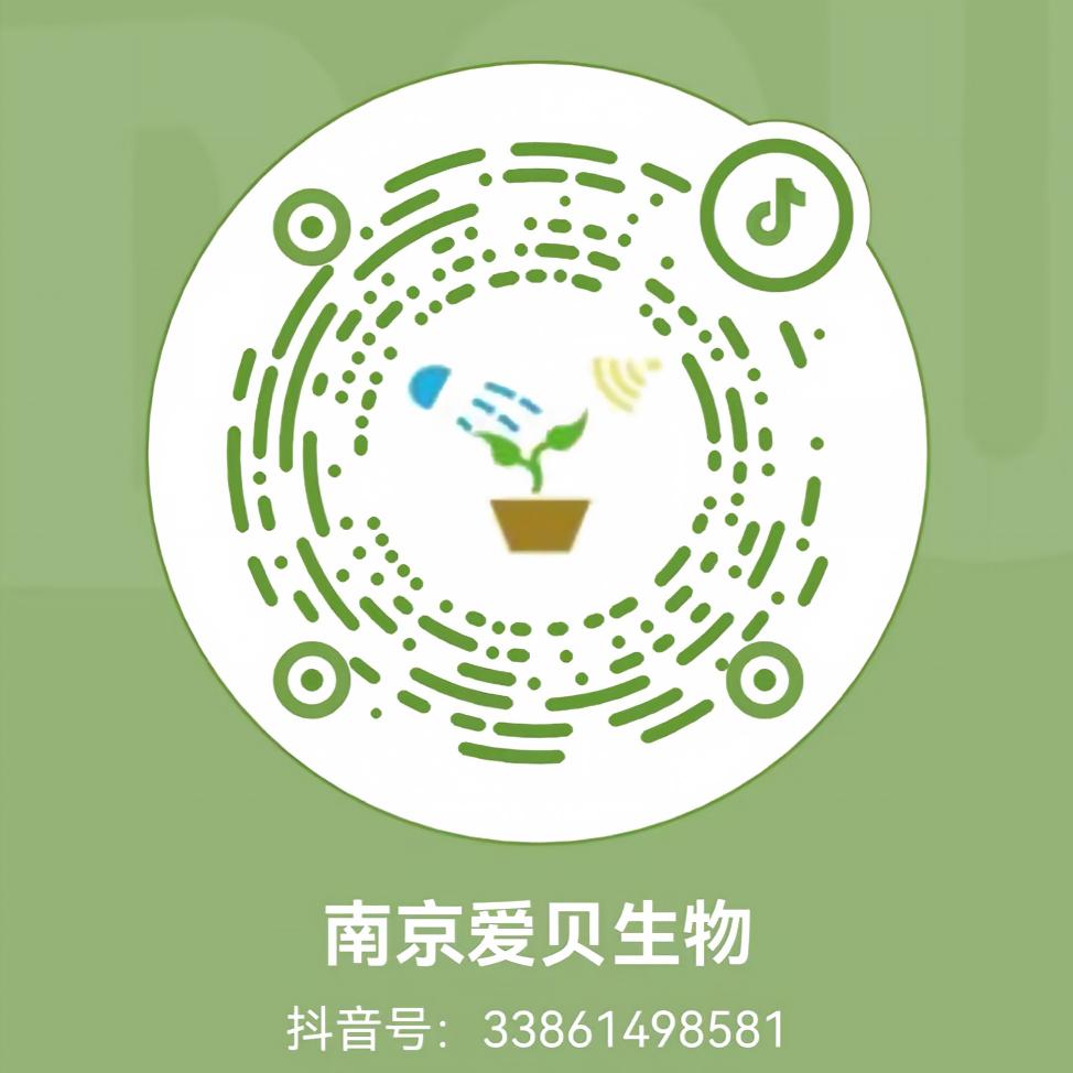 抖音