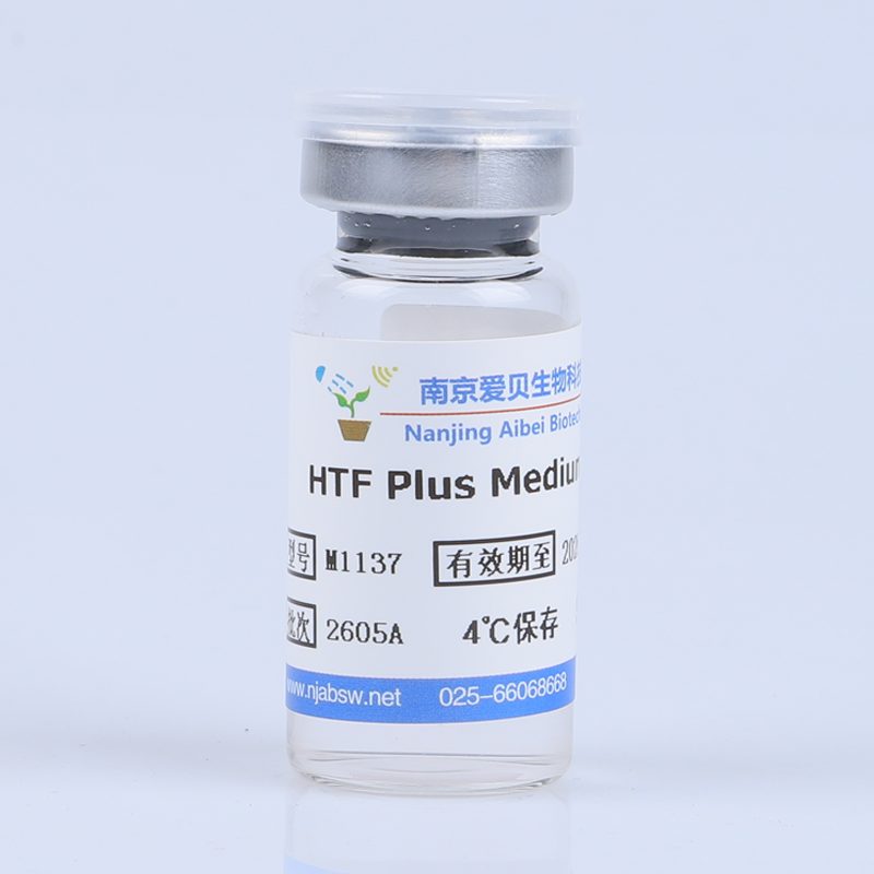 HTF Plus