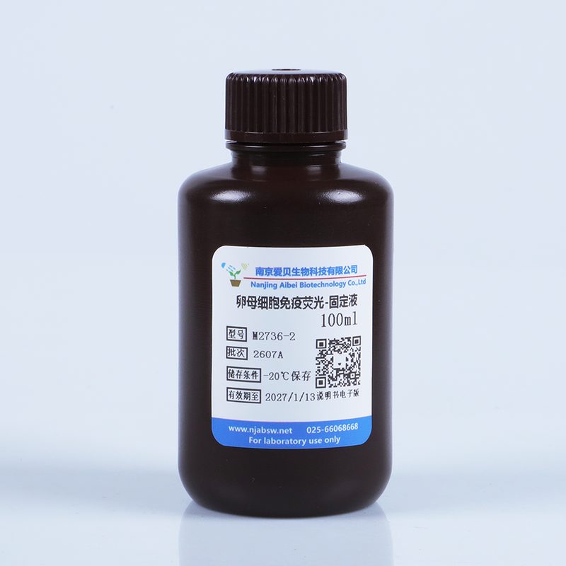 卵母细胞免疫荧光固定液