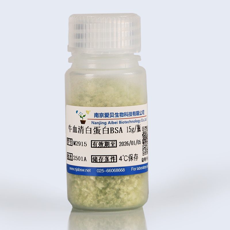 牛血清白蛋白BSA