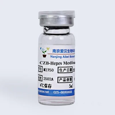 CZB-Hepes培养液