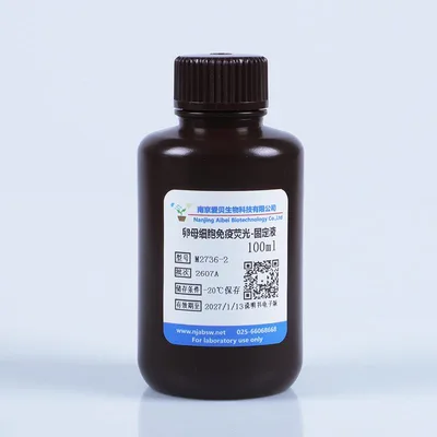 卵母细胞免疫荧光固定液